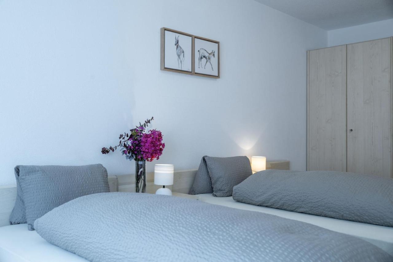 Hotel Alpina Schiers Ngoại thất bức ảnh