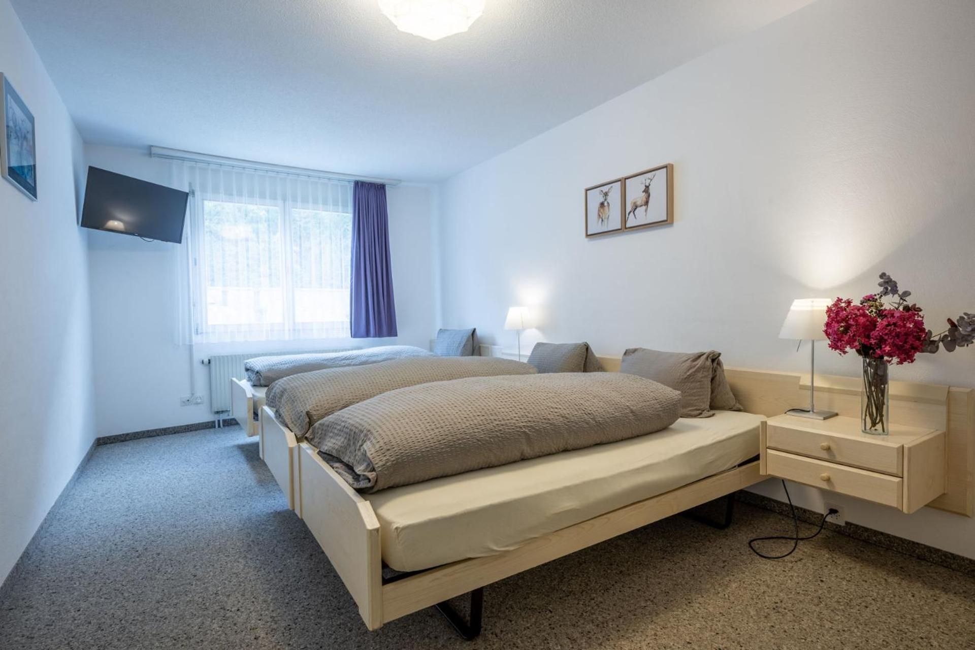 Hotel Alpina Schiers Ngoại thất bức ảnh
