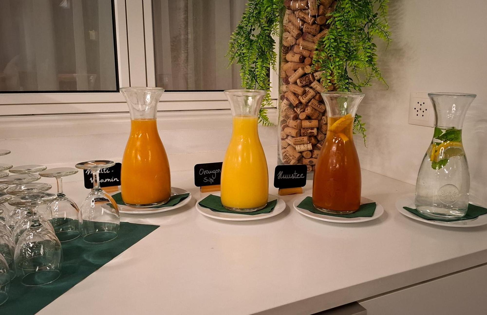 Hotel Alpina Schiers Ngoại thất bức ảnh